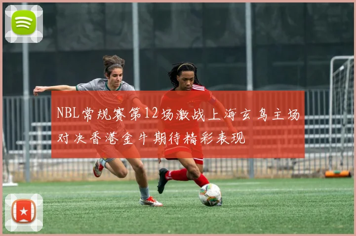 NBL常规赛第12场激战上海玄鸟主场对决香港金牛期待精彩表现